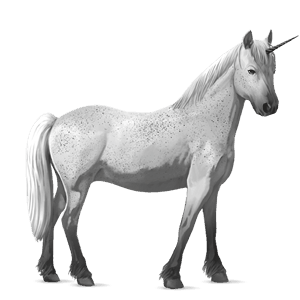 einhorn-pony dunkelbrauner