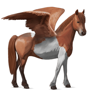 pegasus-pony haflinger fuchs mit heller mähne