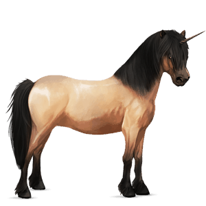 einhorn-pony rappe