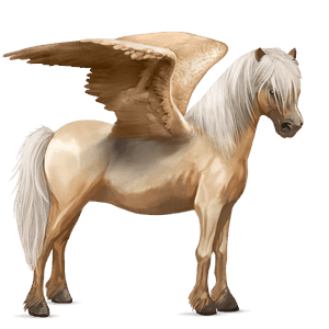 pegasus-pony quarter pony palomino mit tobiano-scheckung