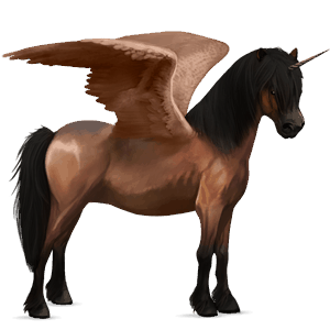 geflügeltes einhorn-pony highlandpony mausgrau