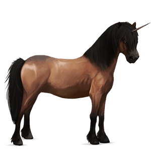 einhorn-pony shetlandpony rotbrauner