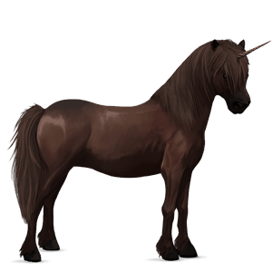 einhorn-pony dunkelfuchs