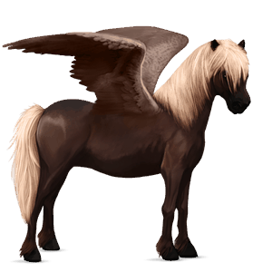 pegasus-pony neufundland pony dunkelfuchs mit heller mähne