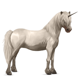 einhorn-pony forellenschimmel