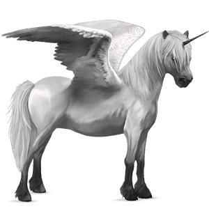 geflügeltes einhorn-pony neufundland pony dunkelbrauner