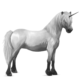 einhorn-pony highlandpony apfelschimmel