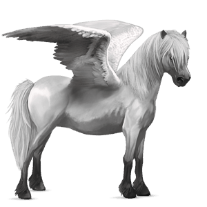 pegasus-reitpferd argentinischer criollo rappschecke
