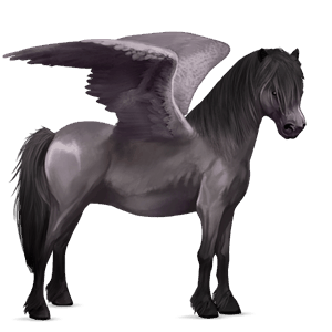 pegasus-pony mausgrau