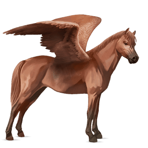 pegasus-pony deutsches reitpony fuchs