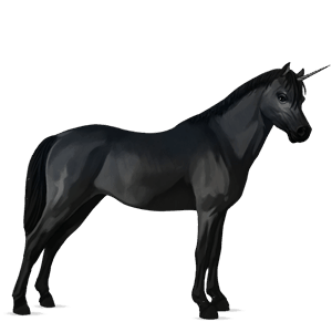 einhorn-pony deutsches reitpony rappe