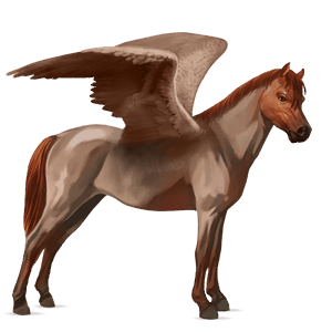 pegasus-pony welsh cob strawberry roan