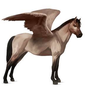 pegasus-pony kerry bog palomino mit tobiano-scheckung