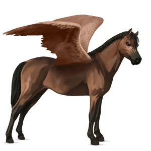 pegasus-pony brauner