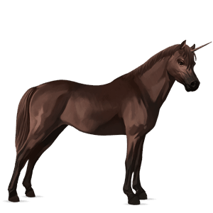 einhorn-pony belgisches reitpony dunkelfuchs