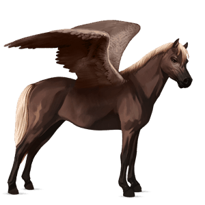 pegasus-pony dunkelfuchs mit heller mähne