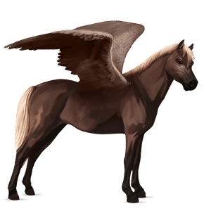 pegasus-pony connemara-pony dunkelfuchs mit heller mähne