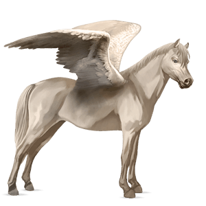 pegasus-pony connemara-pony cremello
