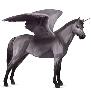 geflügeltes einhorn-pony highlandpony mausgrau