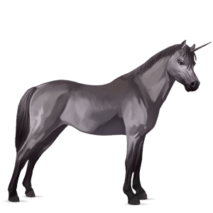 einhorn-pony highlandpony mausgrau