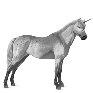einhorn-pony welsh cob dunkelbrauner