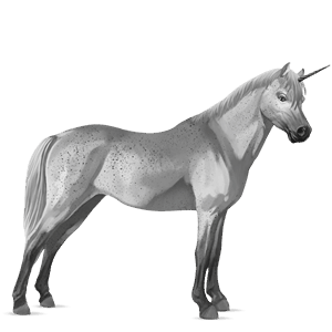 einhorn-pony dunkelbrauner