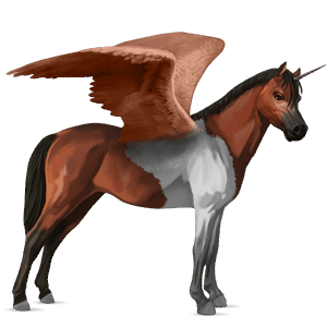 geflügeltes einhorn-pony quarter pony brauner mit tobiano-scheckung