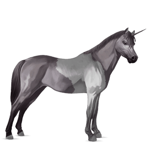 einhorn-pony shetlandpony hellgrau