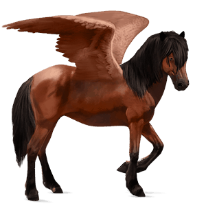 pegasus-reitpferd irisches sportpferd rotbrauner