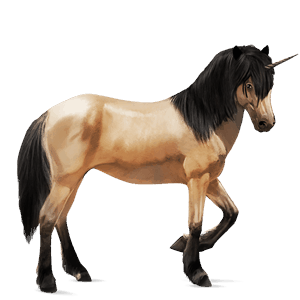 einhorn-reitpferd deutsches reitpferd apfelschimmel