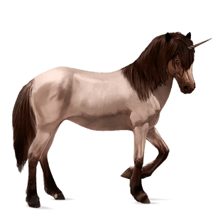 einhorn-reitpferd deutsches reitpferd apfelschimmel
