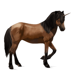 einhorn-reitpferd deutsches reitpferd rappe
