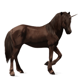 einhorn-reitpferd isländer dunkelbrauner