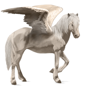 pegasus-reitpferd irisches sportpferd apfelschimmel