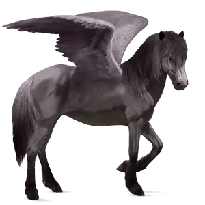 pegasus-reitpferd mausgrau