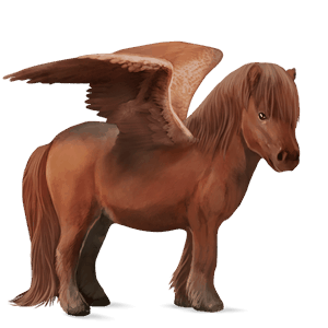 pegasus-pony shetlandpony fuchs