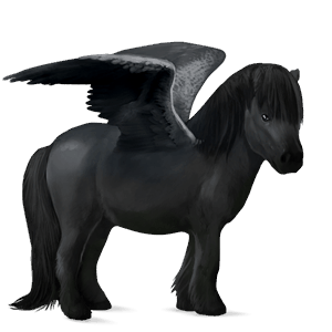 pegasus-pony shetlandpony rappe