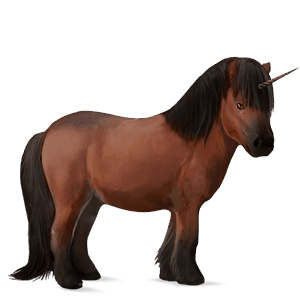 einhorn-pony rotbrauner