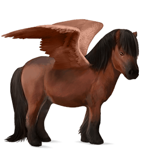 pegasus-pony shetlandpony dunkelfuchs
