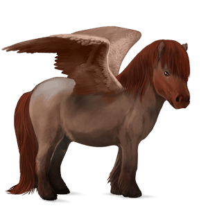 pegasus-pony connemara-pony dunkelfuchs
