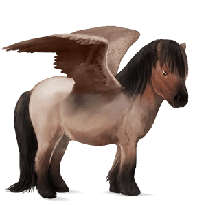 pegasus-pony shetlandpony dunkelfuchs