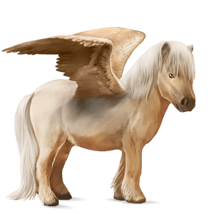 pegasus-pony quarter pony palomino