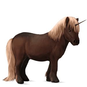einhorn-pony dunkelfuchs mit heller mähne
