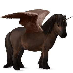 geflügeltes einhorn-pony shetlandpony dunkelbrauner