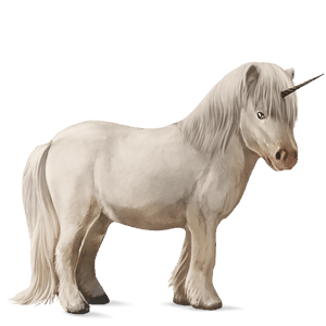 einhorn-pony neufundland pony cremello