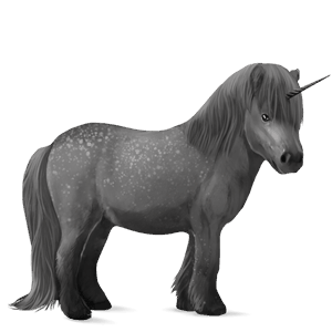 einhorn-pony apfelschimmel