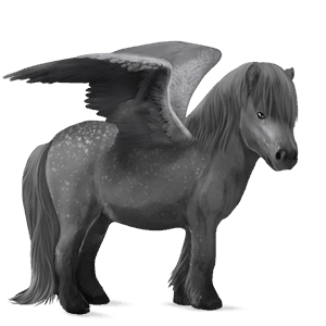 pegasus-pony dunkelbrauner mit tobiano-scheckung