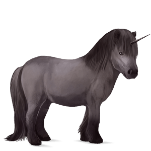 einhorn-pony shetlandpony apfelschimmel