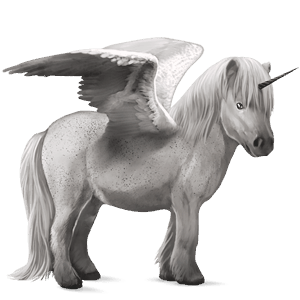 geflügeltes einhorn-pony shetlandpony rappe