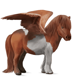 pegasus-pony shetlandpony fuchs mit tobiano-scheckung